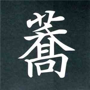 Ami Yoshida / Toshimaru Nakamura - Soba To Bara download free