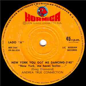 Andrea True Connection - New York You Got Me Dancing = New York, Me Haces Bailar... download free