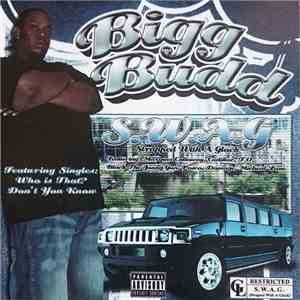 Bigg Budd  - S.W.A.G - Strapped With A Glock download free