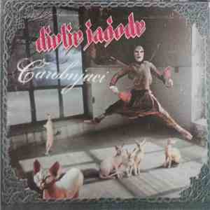 Divlje Jagode - Čarobnjaci download free
