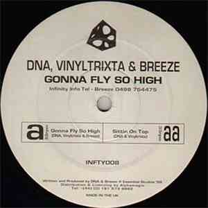 DNA , Vinyltrixta & Breeze / DNA  & Vinyltrixta - Gonna Fly So High / Sittin On Top download free