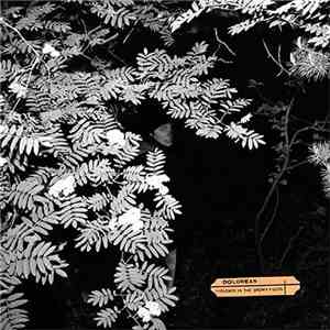 Dolorean - Violence In The Snowy Fields download free