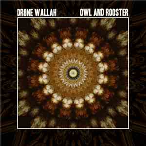Drone Wallah - Owl And Rooster download free