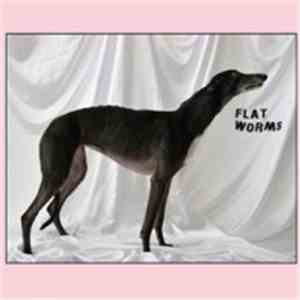 Flat Worms - Flat Worms download free