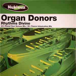 Organ Donors - Rhythms Divine download free