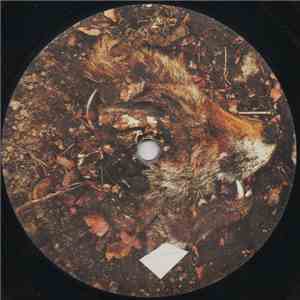 Savagen - Practically Educated download free