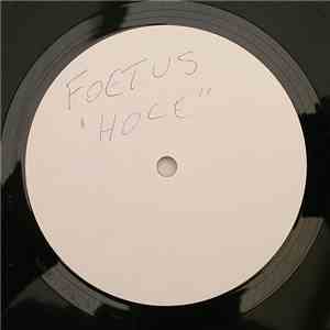 Scraping Foetus Off The Wheel - Hole download free