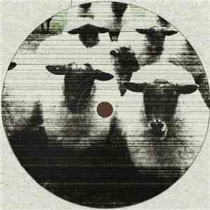 Shards  - 001 download free