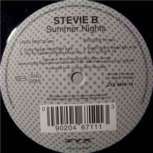 Stevie B - Summer Nights download free