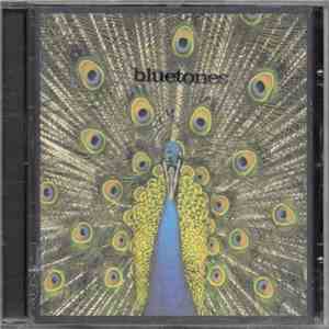 The Bluetones - Expecting To Fly download free