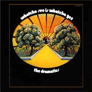 The Dramatics - Whatcha See Is Whatcha Get download free