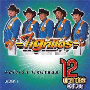 Tigrillos - 12 Grandes Éxitos Volumen 1 download free