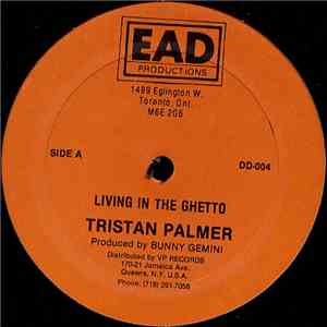 Tristan Palmer / Little John - Living In The Ghetto / Bubbling Spree download free