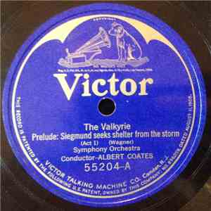 Tudor Davies - Symphony Orchestra - The Valkyrie download free