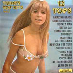 Unknown Artist - Todays Top Hits Vol 2 download free
