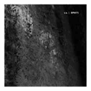 V.A. - BPM75 download free