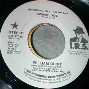 William Orbit - Swamp Dog download free